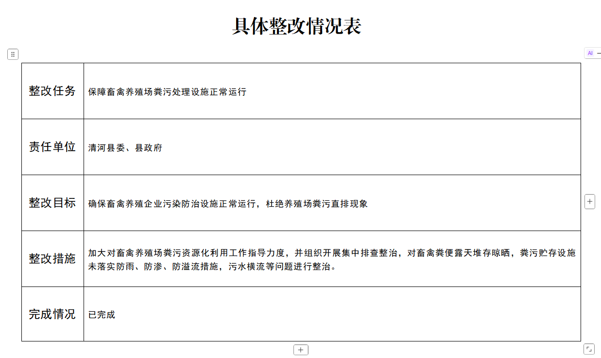 具体整改情况表.png